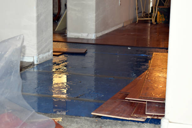 Professional Basement Flood Cleanup technician working in Eminence, KY